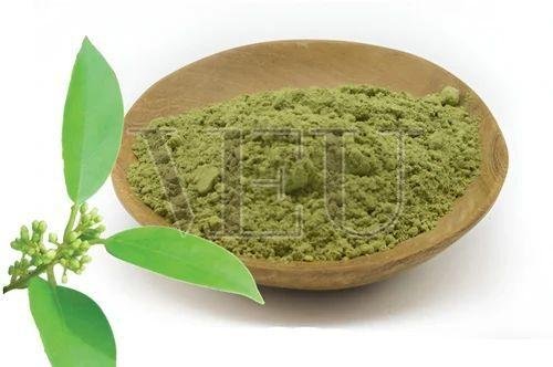 Organic Gurmar Powder