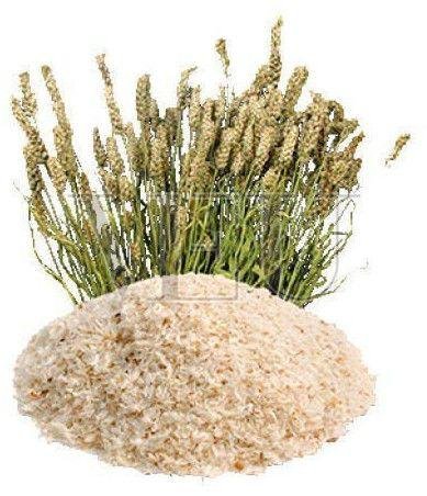 Organic Psyllium Husk Powder
