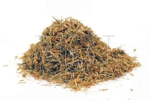 Sankhpushpi Herb TBC