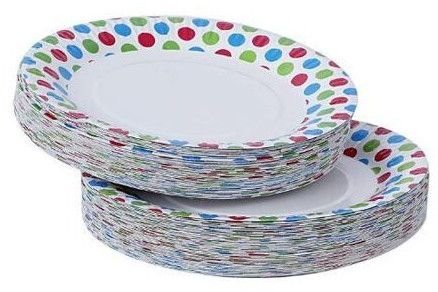 10 Inch Disposable Printed Paper Plate
