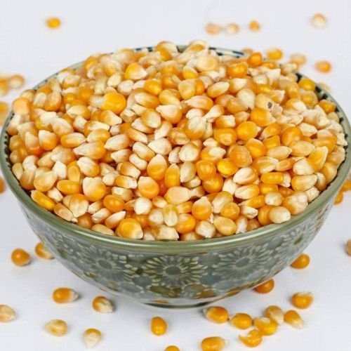Natural Yellow Maize Seed