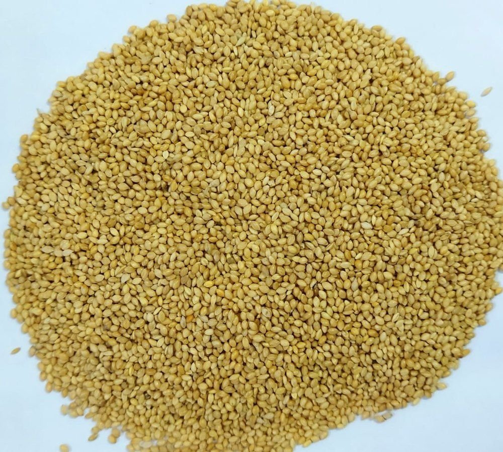 Natural Foxtail Millet Seeds