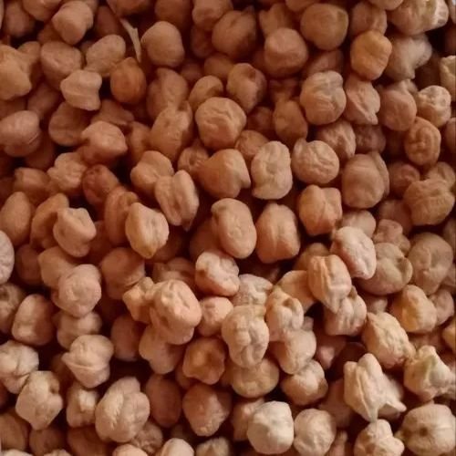 Natural Pkv2 Chana