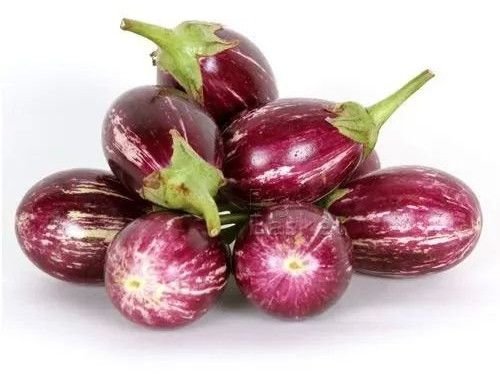 A Grade Fresh Brinjal