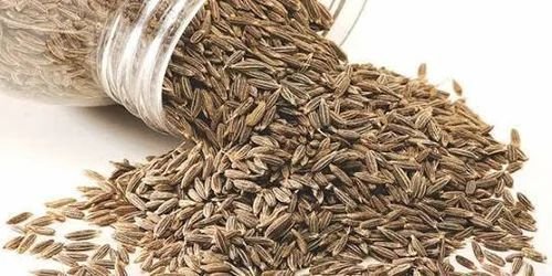 Fresh Cumin Seed