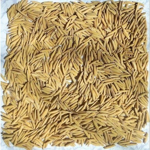 1121 Paddy Seeds