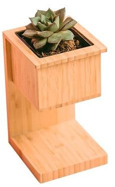 Alder Wireless Charger with Planter