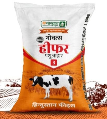 Govatsa Heifer Cattle Feed