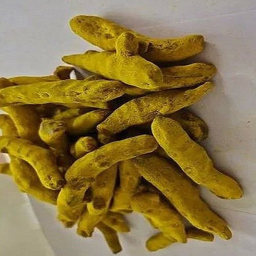 Organic Dry Turmeric Finger