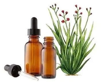 Palmarosa Oil