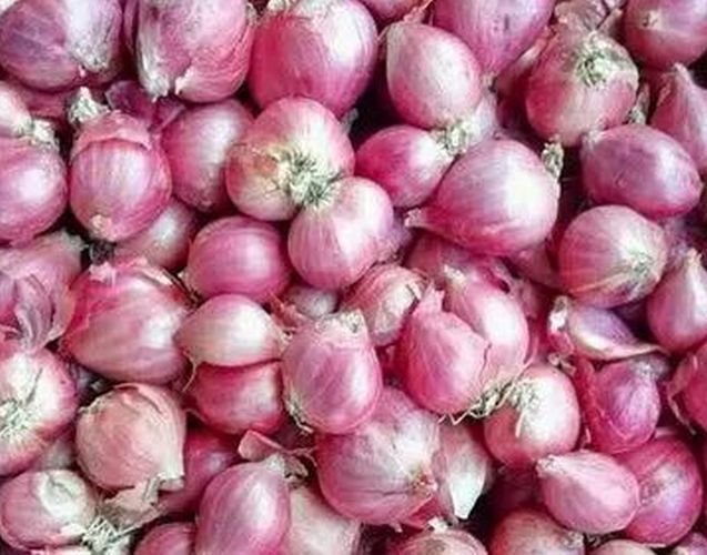 Fresh Nashik Onion