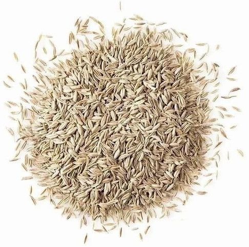 White Cumin Seeds