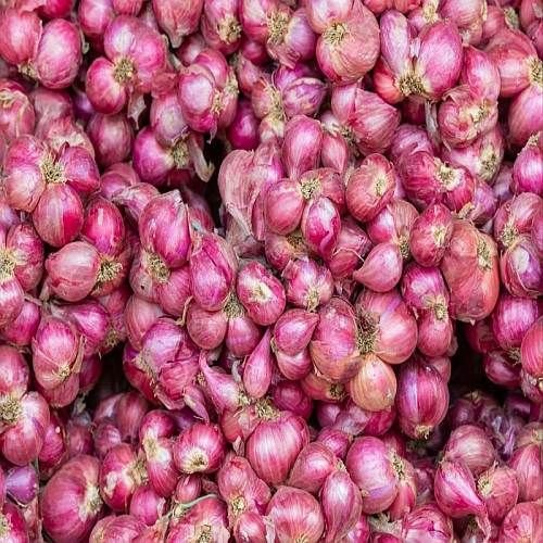 Nashik Fresh Red Onion