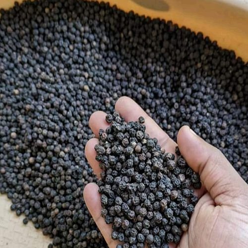 Black Organic Pepper Seeds
