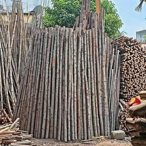 10 Feet Casuarina Pole