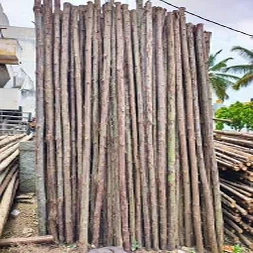 12 Feet Casuarina Pole