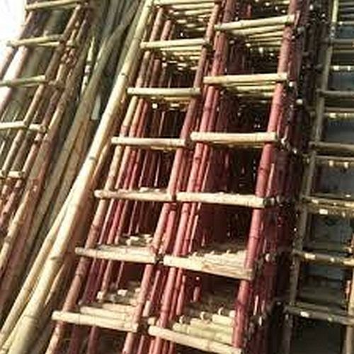 8 Feet Bamboo Ladder