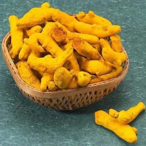 Europe Grade Turmeric Finger