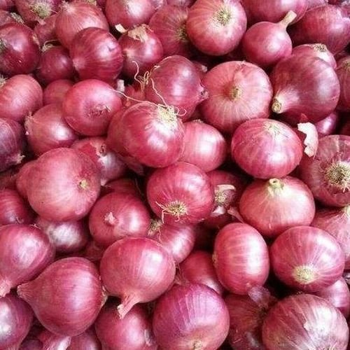 Fresh A Grade Onion
