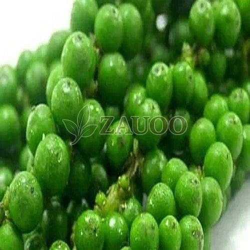 A Grade Fresh Green Pepper