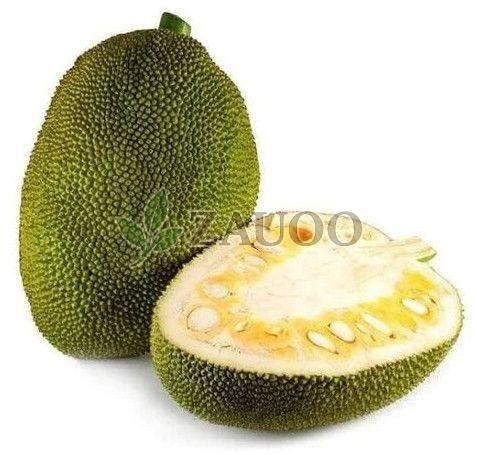 A Grade Fresh Jackfruit