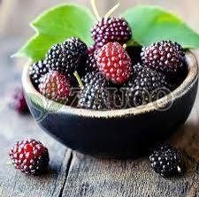 A Grade Fresh Mulberry