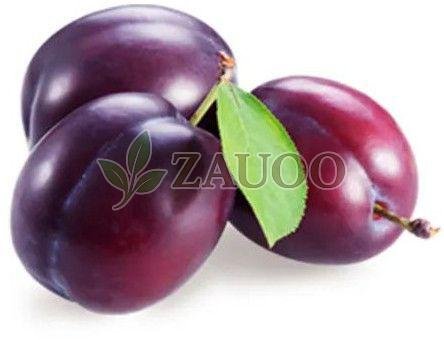A Grade Fresh Plum