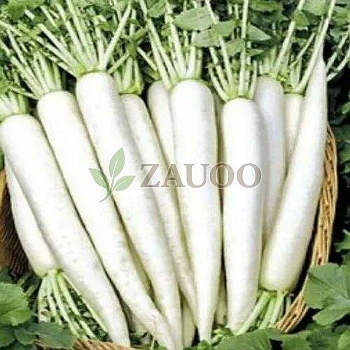 A Grade Fresh Radish