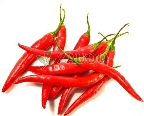 A Grade Fresh Red Chilli