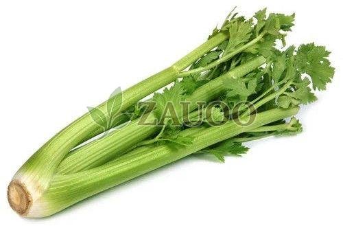A Grade Green Fresh Celery Leaves