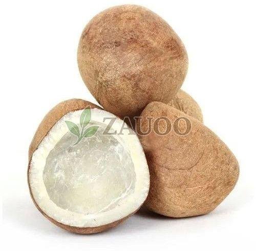 Brown Dry Coconut
