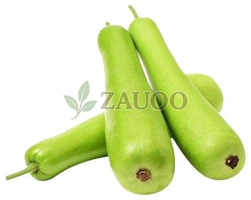 Fresh Bottle Gourd
