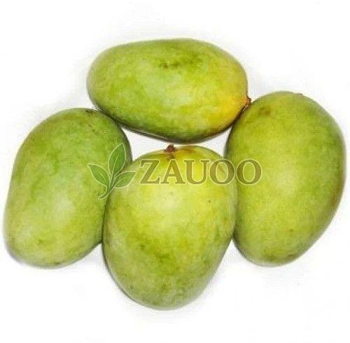 Fresh Chaunsa Mango