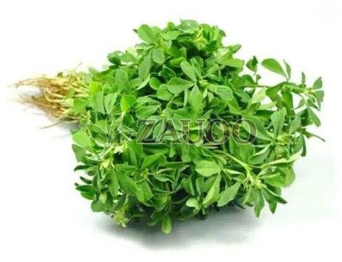 Fresh Fenugreek Leaves