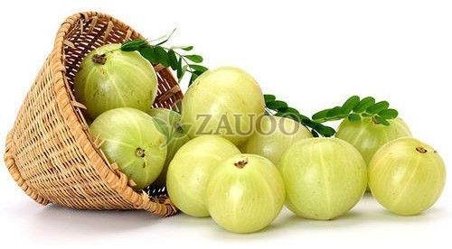 Fresh Amla