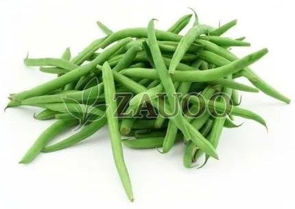 Fresh Green Beans