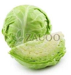 Fresh Green Cabbage