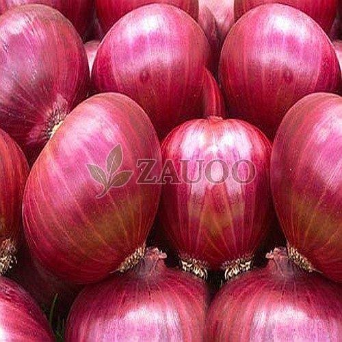 fresh red onion