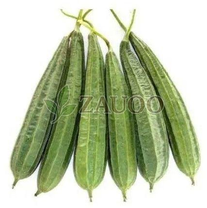 Fresh Ridge Gourd