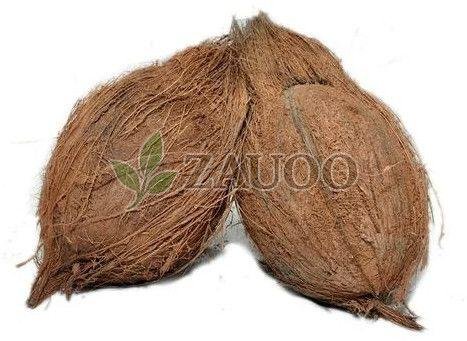 semi husked coconut