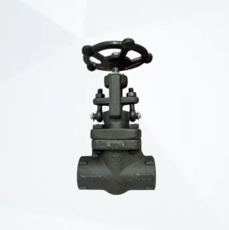 Class 800 High Pressure Forged Steel Globe Valve