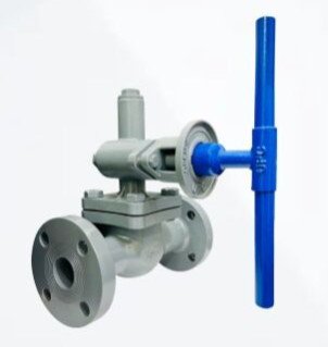 CS Flanged Parallel Slide Blowdown Valve
