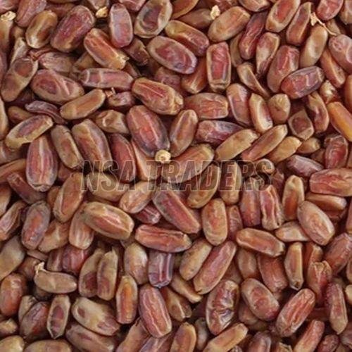Seedless Dates