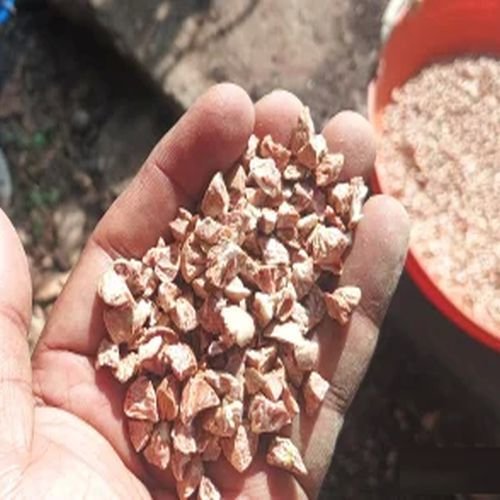 Diamond Cut Areca Nuts
