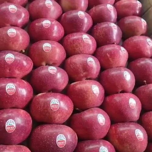 Fresh Kashmiri Apple