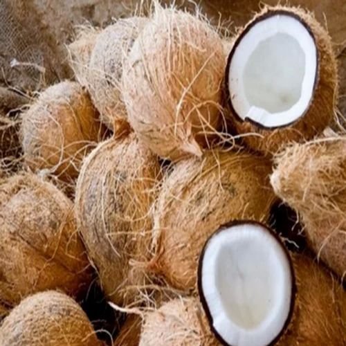 Fresh Semi Husked Coconut