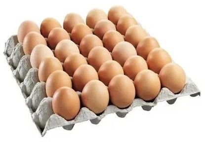 Kadaknath Chicken Egg