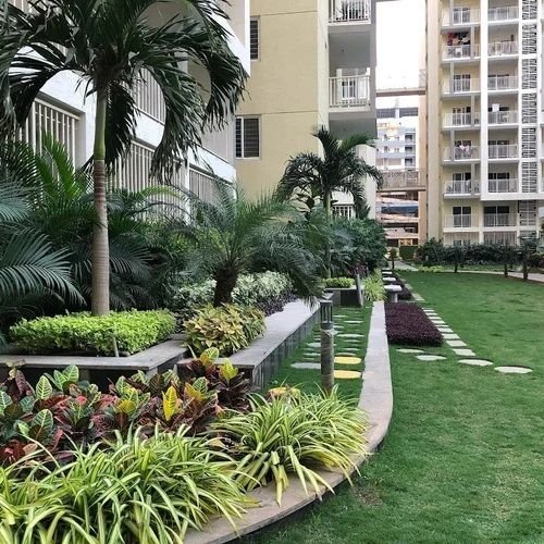 Commercial Apartment Garden Making Service