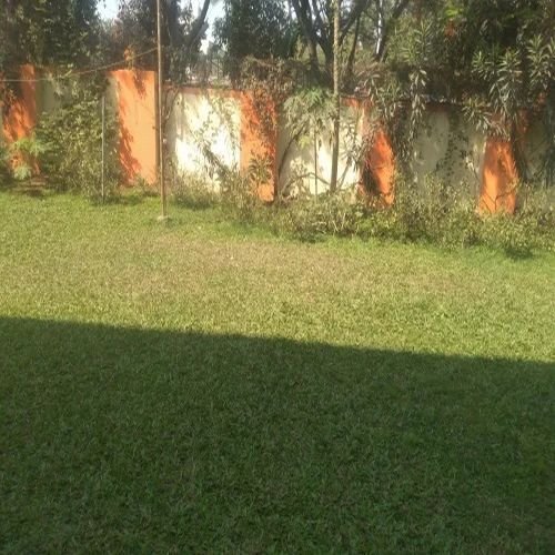 Garden Maintenance Services
