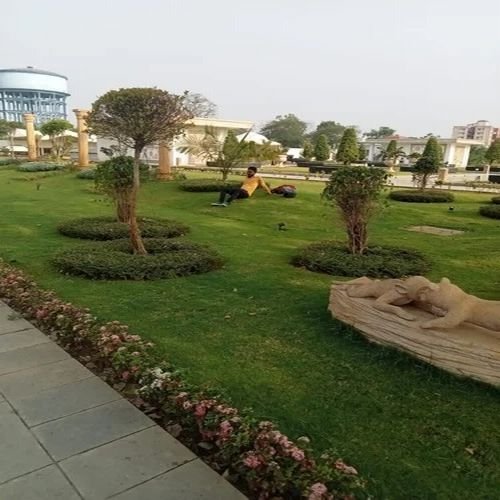 Lawn Natural Grass Landscaping Garden